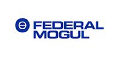 Federal mogul